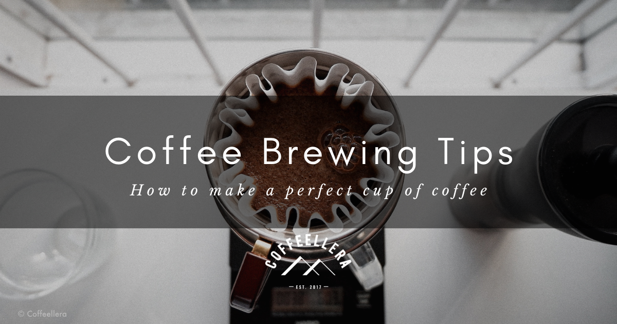 How The Moka Pot Influenced Coffee Consumption - Perfect Daily Grind